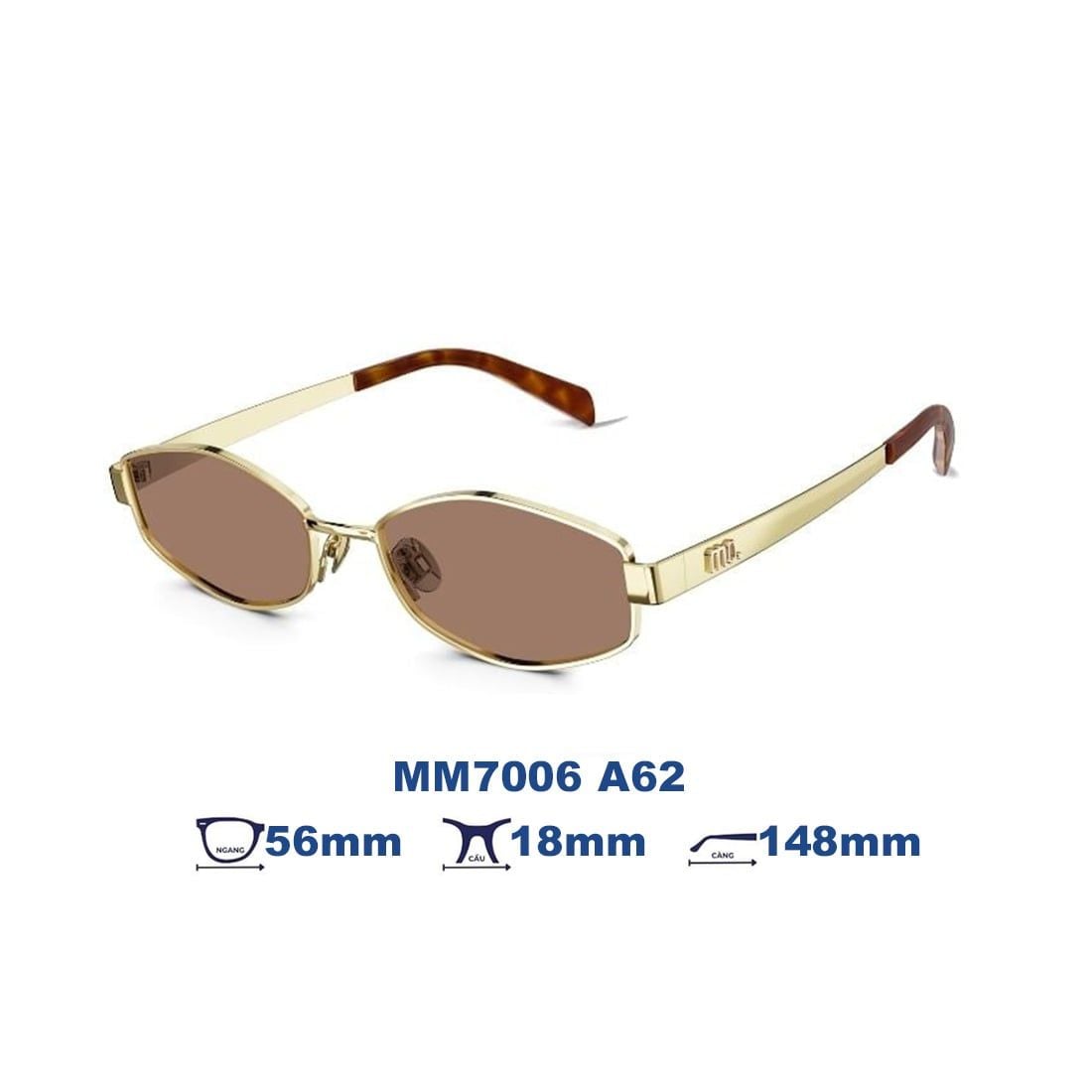 Kính mát MOLSION MM7006 A62