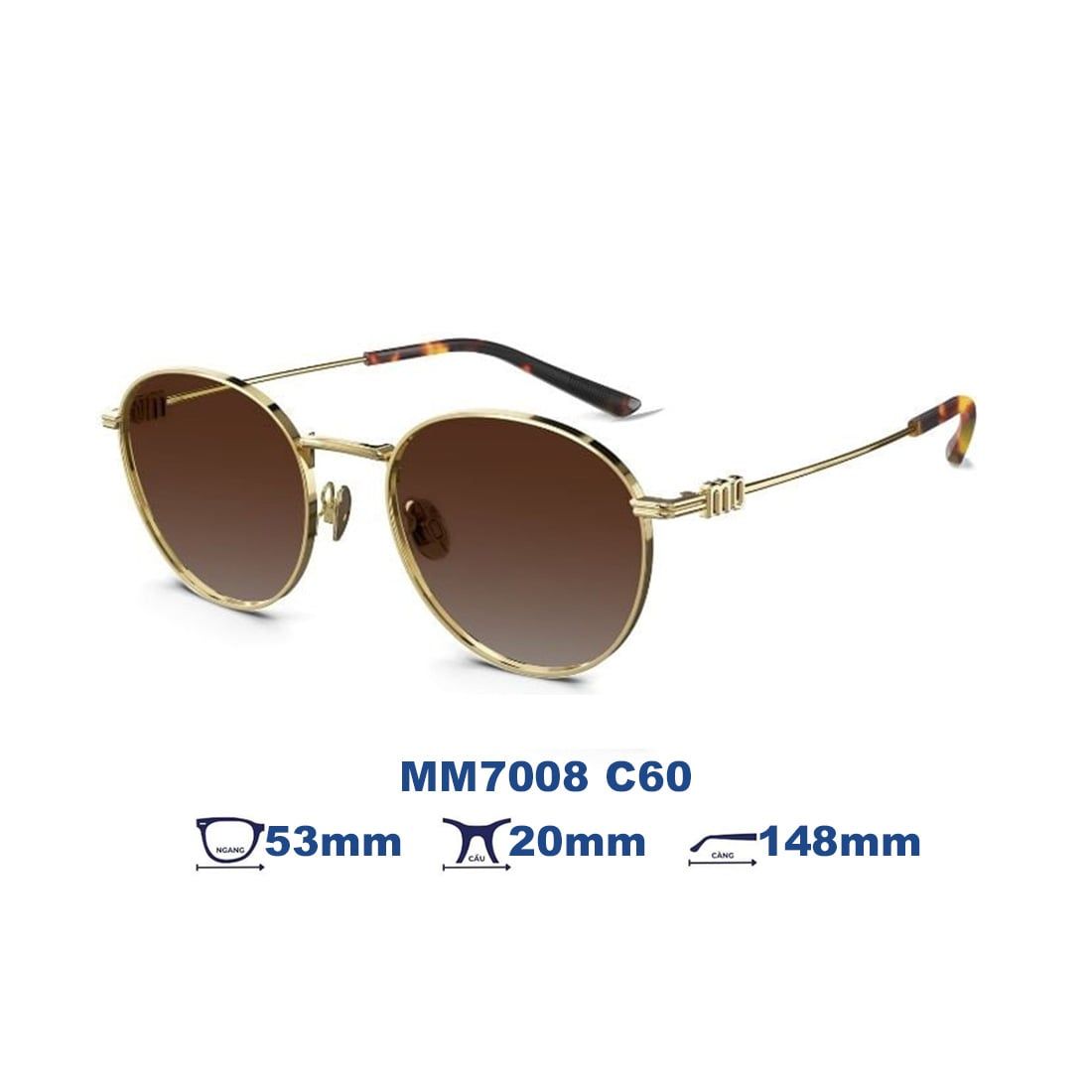 Kính mát MOLSION MM7008 C60