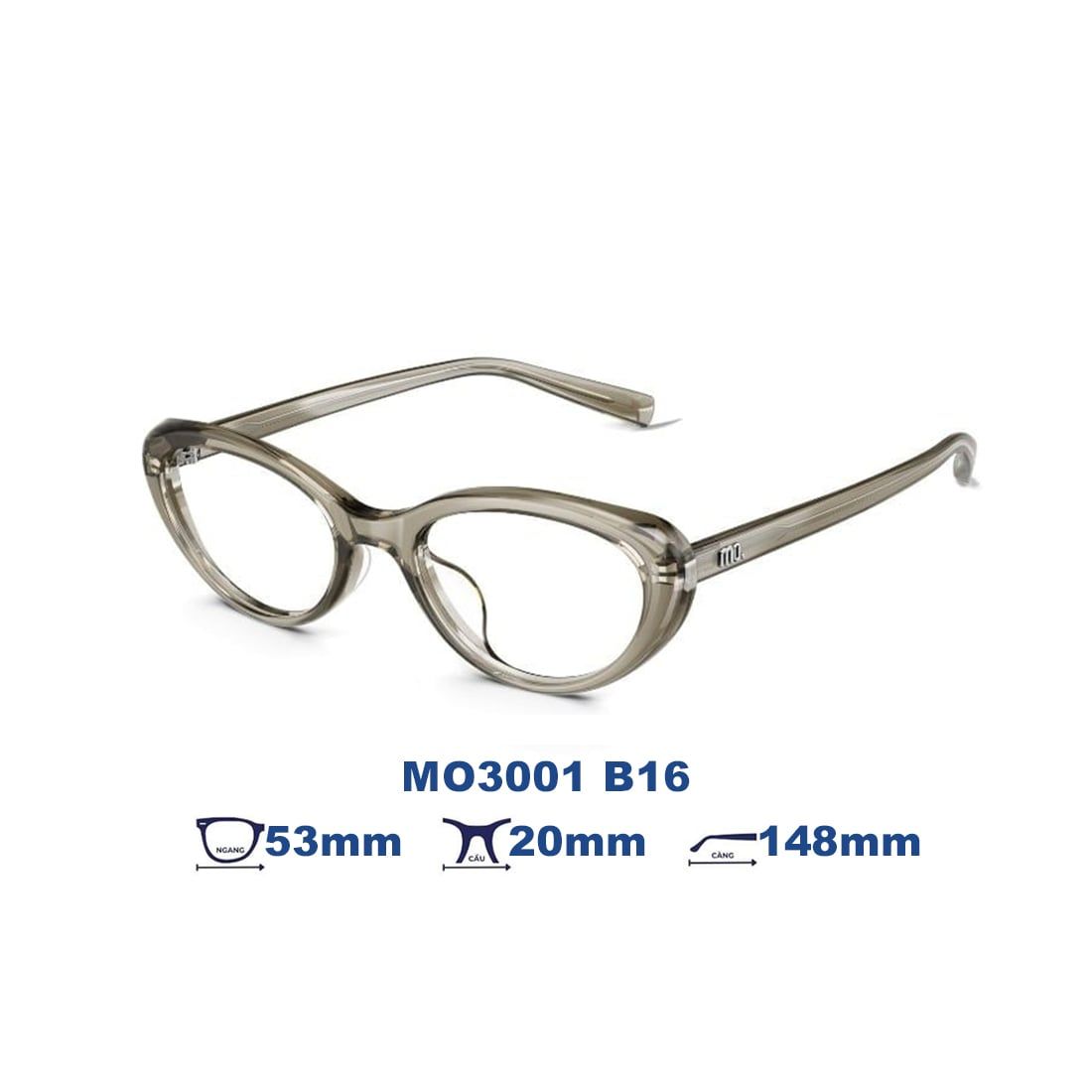 Gọng kính MOLSION MO3001 B16