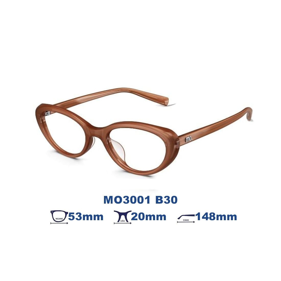 Gọng kính MOLSION MO3001 B30