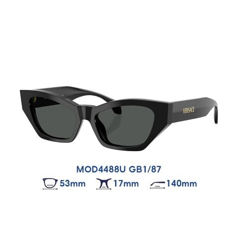Kính mát VERSACE MOD4488U GB1/87