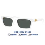 Kính mát VERSACE MOD4490U 314/87