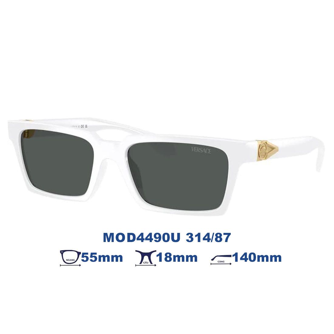 Kính mát VERSACE MOD4490U 314/87