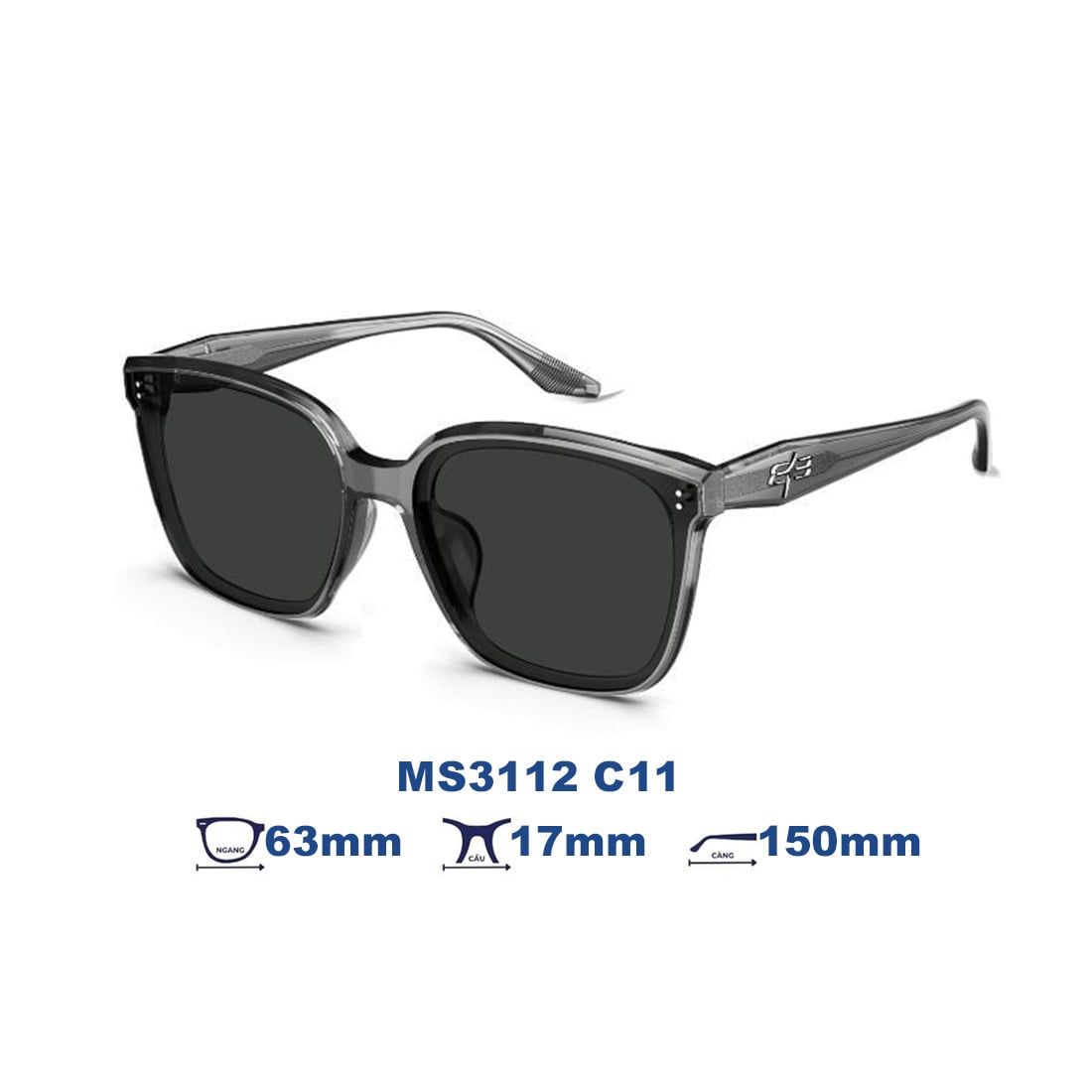 Kính mát MOLSION MS3112 C11