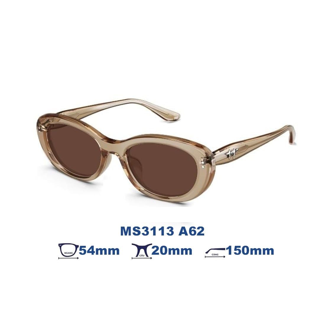 Kính mát MOLSION MS3113 A62