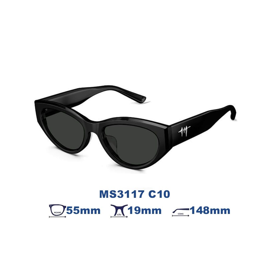Kính mát MOLSION MS3117 C10