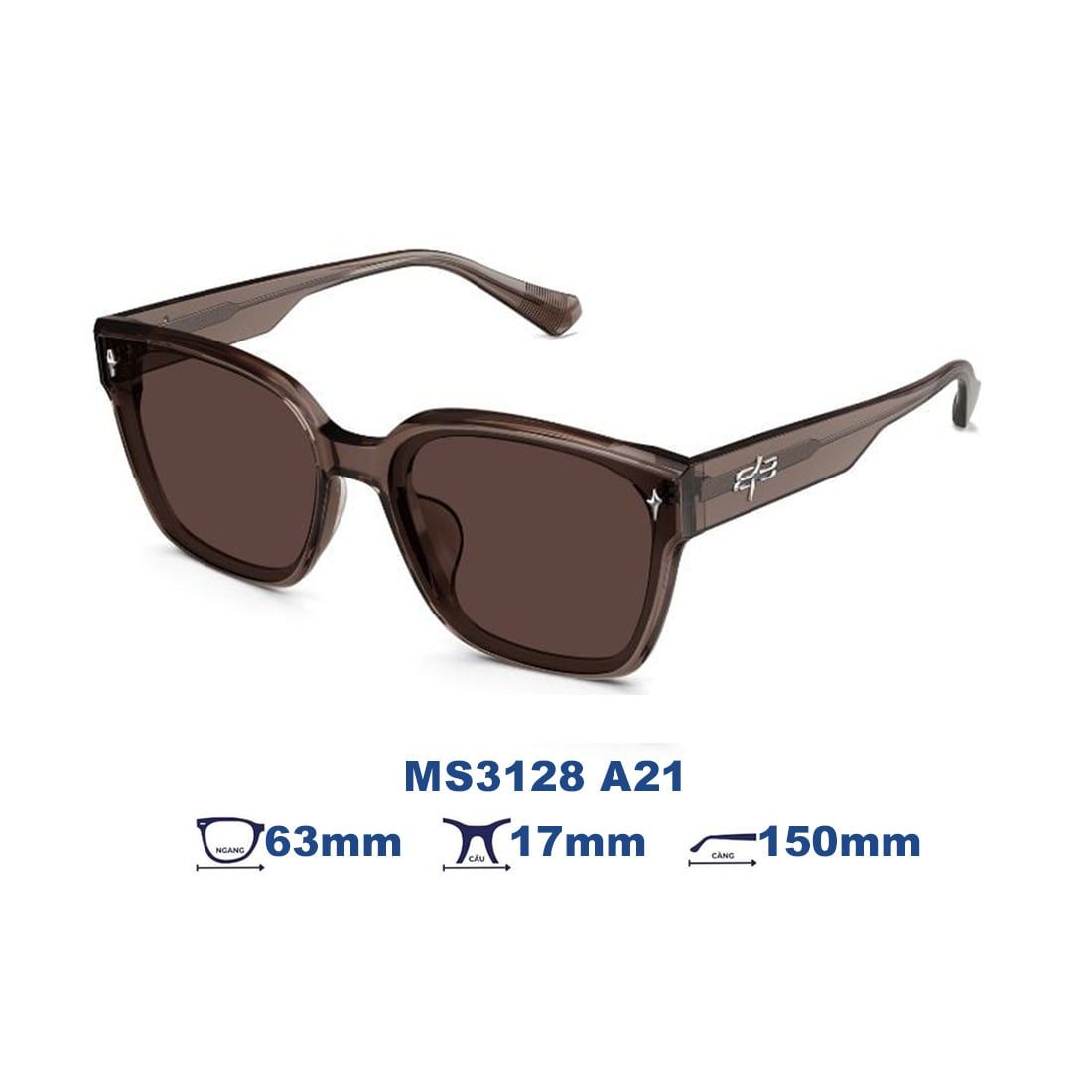 Kính mát MOLSION MS3128 A21