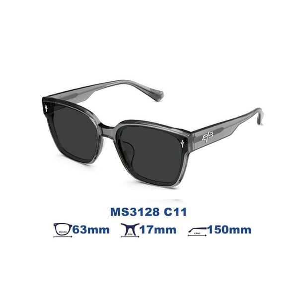 Kính mát MOLSION MS3128 C11
