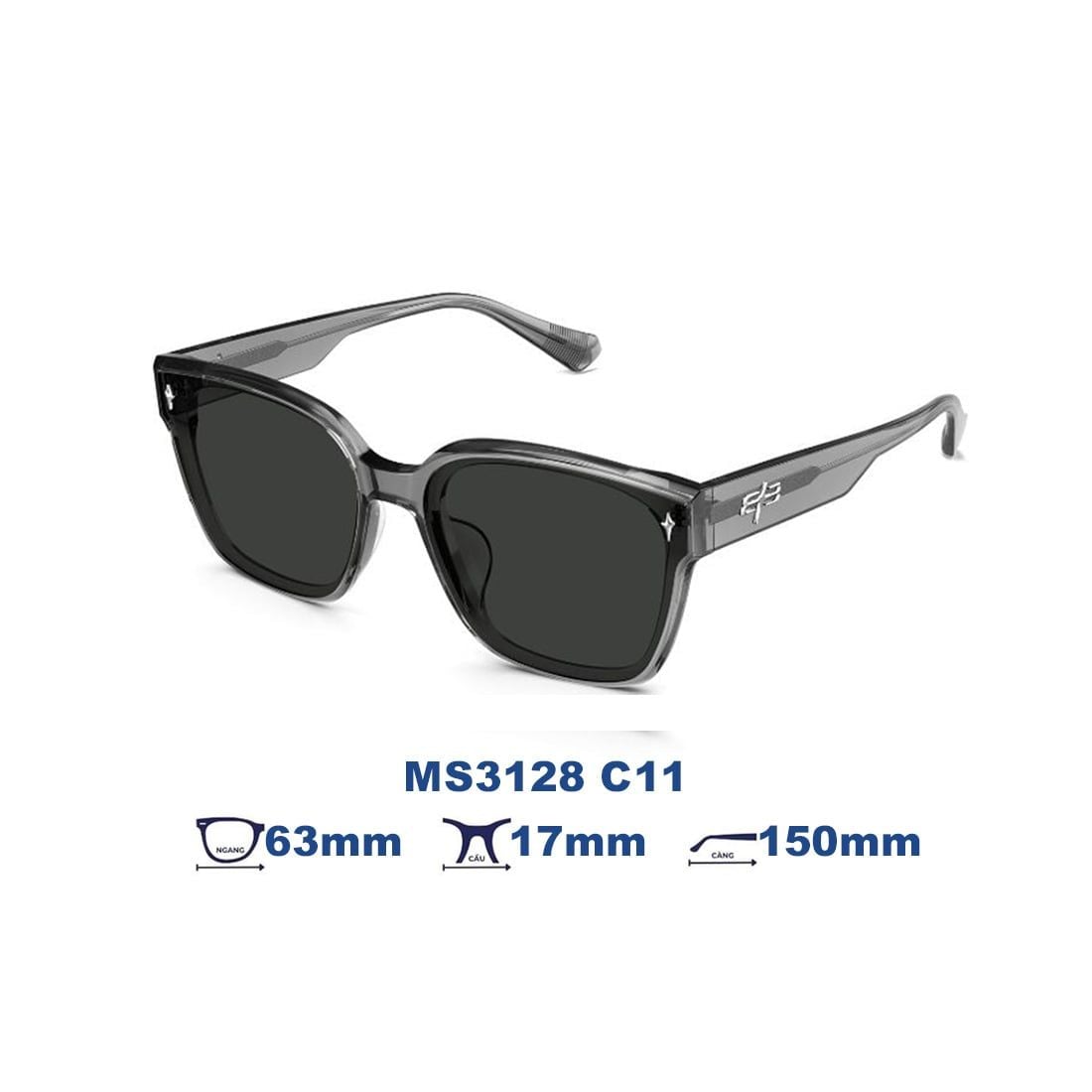 Kính mát MOLSION MS3128 C11