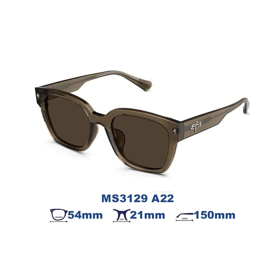 Kính mát MOLSION MS3129 A22