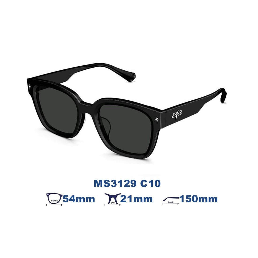 Kính mát MOLSION MS3129 C10