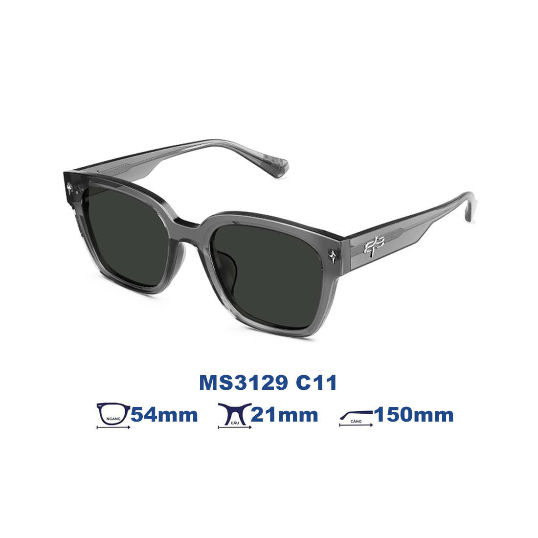 Kính mát MOLSION MS3129 C11