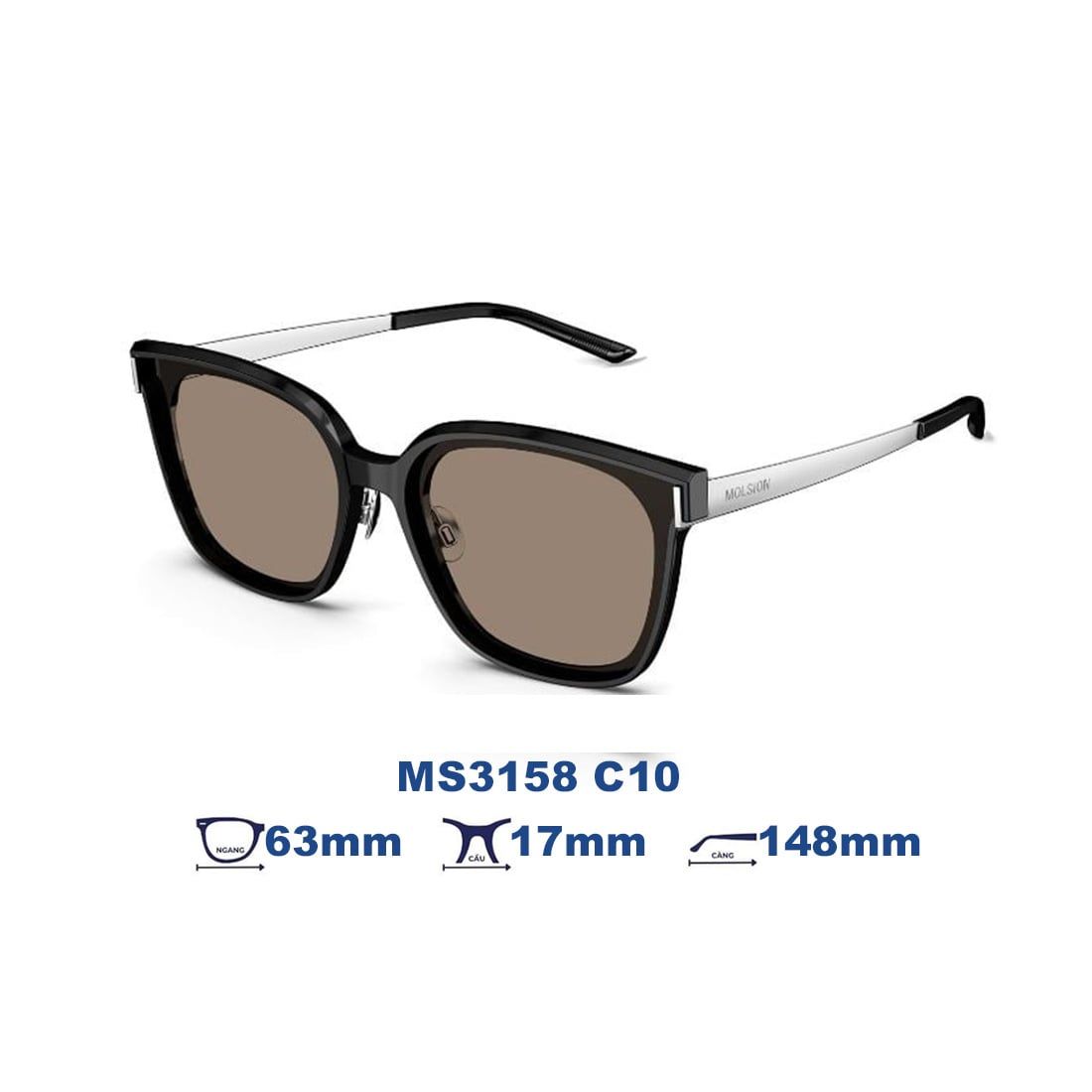 Kính mát MOLSION MS3158 A12