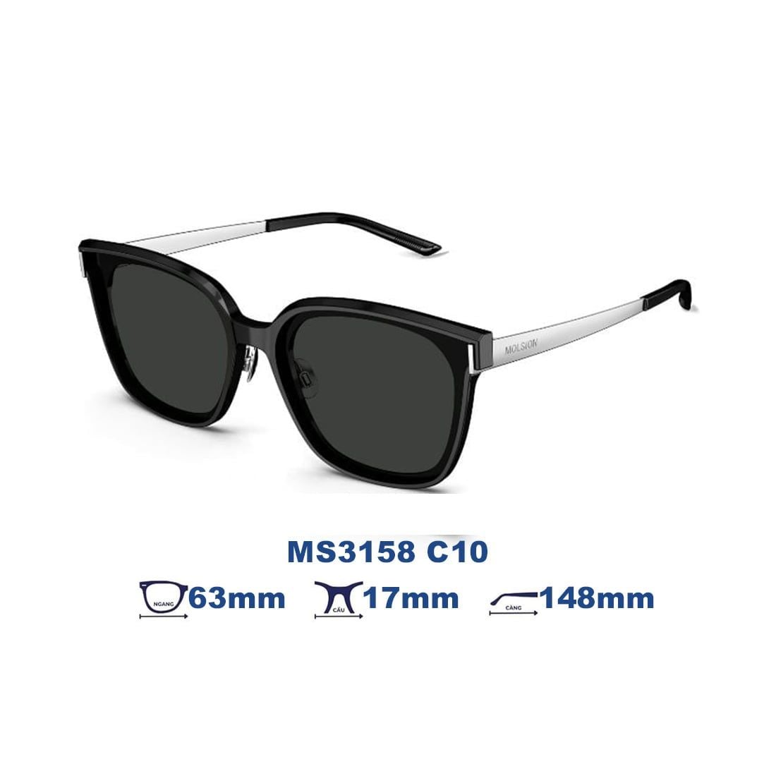 Kính mát MOLSION MS3158 C10