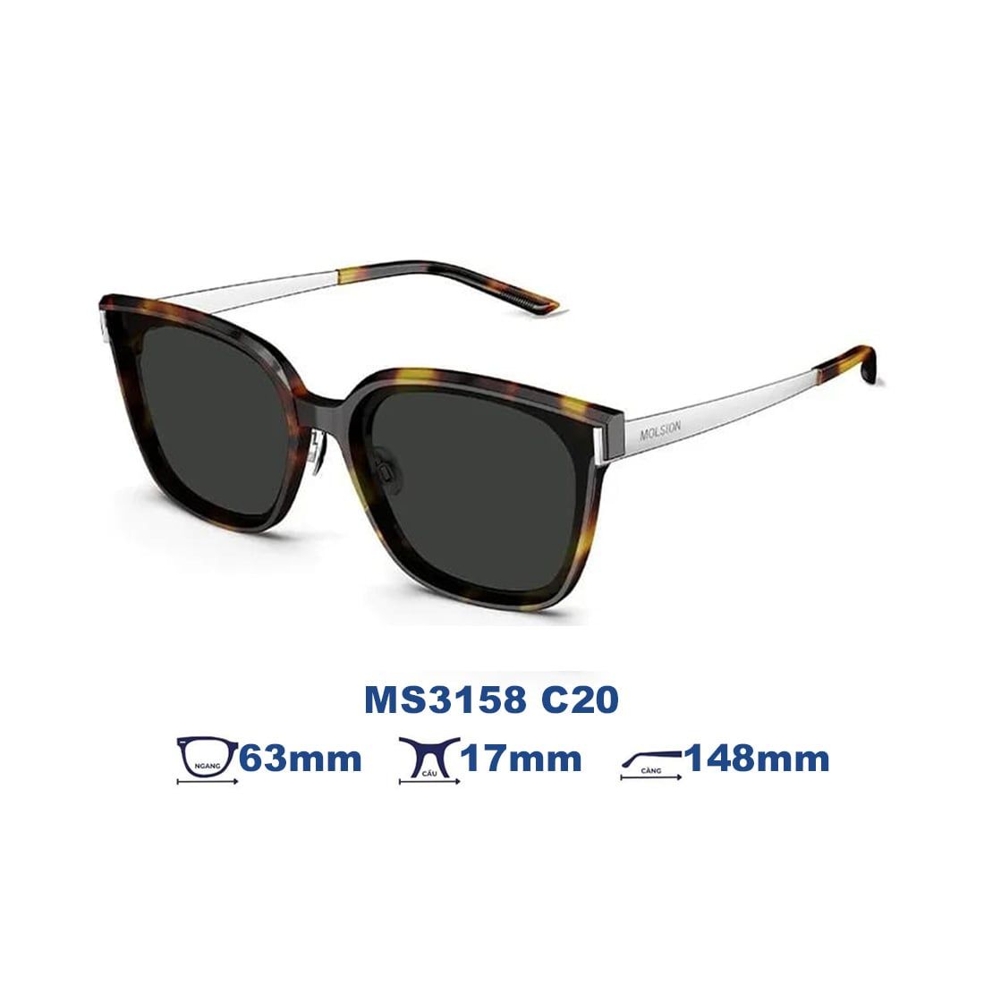 Kính mát MOLSION MS3158 C20