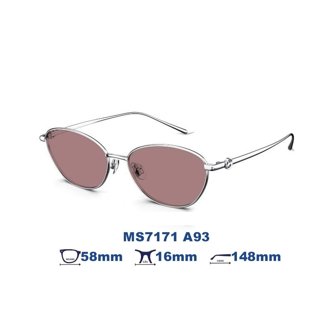 Kính mát MOLSION MS7171 A93