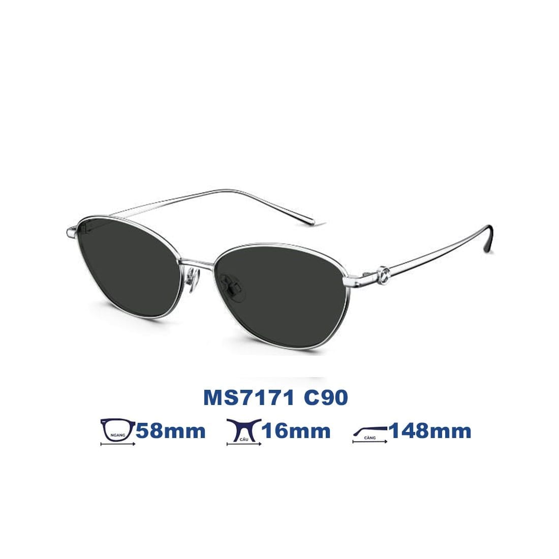 Kính mát MOLSION MS7171 C90