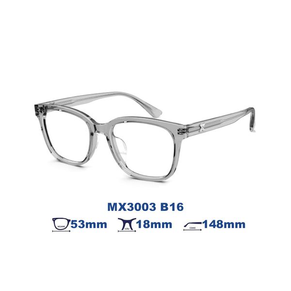 Gọng kính MOLSION MX3003 B16