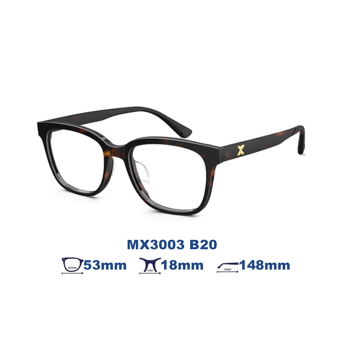 Gọng kính MOLSION MX3003 B20