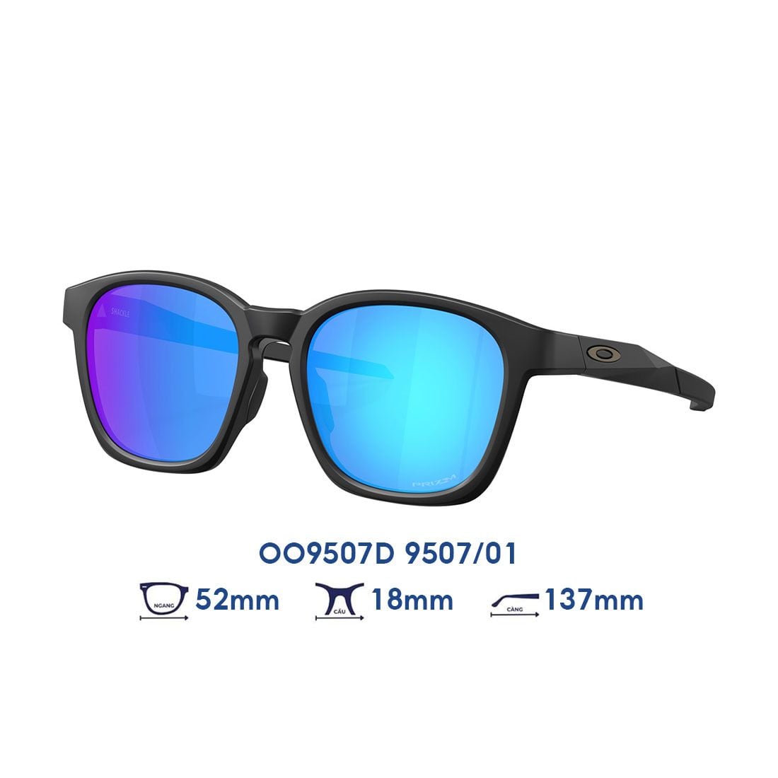 Kính mát OAKLEY OO9507D 9507/01 màu đen