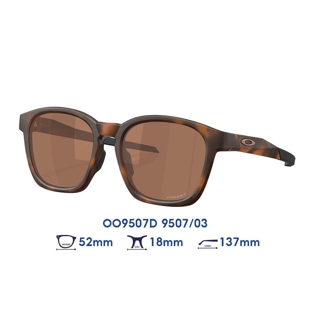 Kính mát OAKLEY OO9507D 9507/03