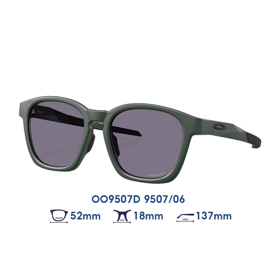 Kính mát OAKLEY OO9507D 9507/06