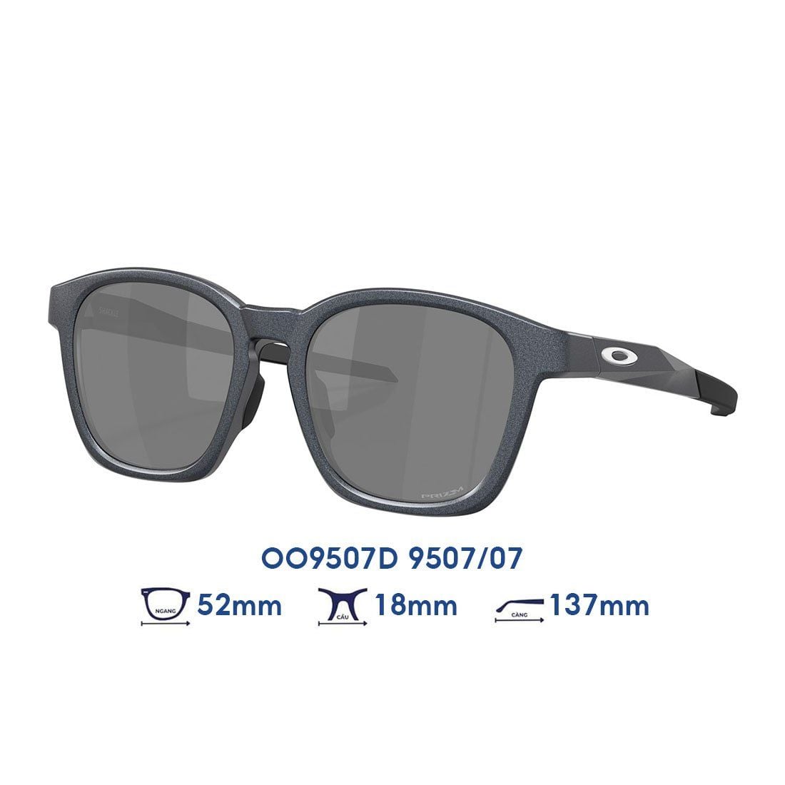 Kính mát OAKLEY OO9507D 9507/07