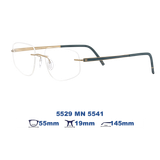 Gọng kính SILHOUETTE 5529 MN 5541