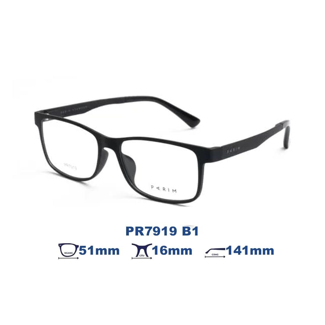  Gọng kính PARIM PR7919 B1 