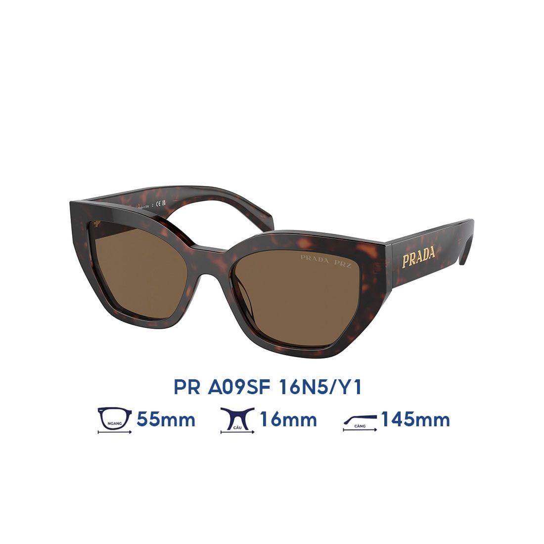 Kính mát PRADA PR A09SF 16N5/Y1