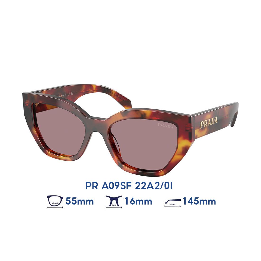 Kính mát PRADA PR A09SF 22A2/0I