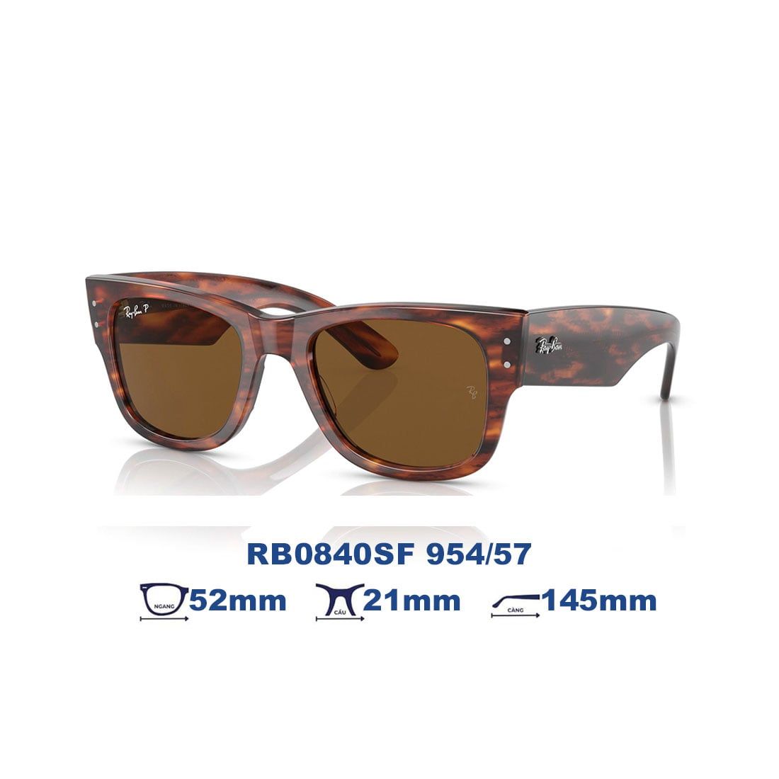  Kính mát RAYBAN RB0840SF 954/57 