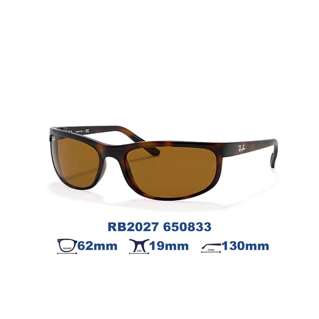 Kính mát RAYBAN RB2027 650833 