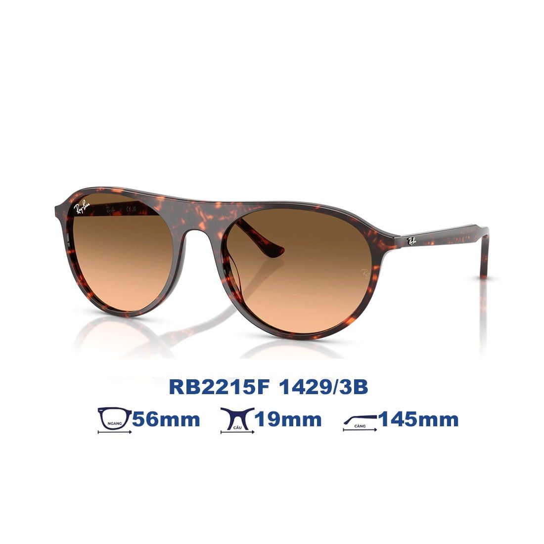  Kính mát RAYBAN RB2215F 14293B 