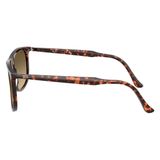  Kính mát RAYBAN RB2216F 1429/0A 