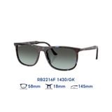 Kính mát RAYBAN RB2216F 1430/GK