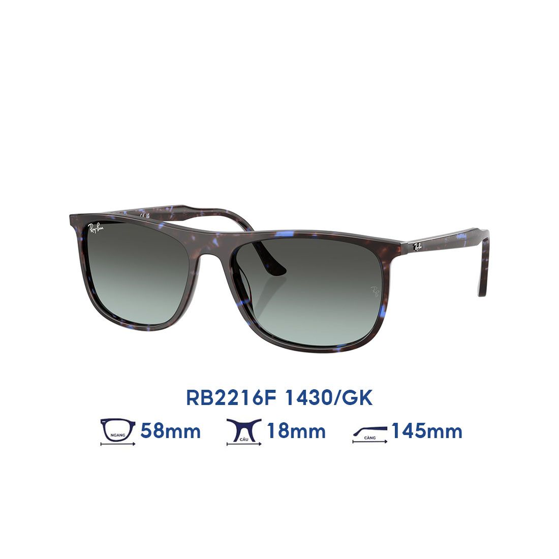 Kính mát RAYBAN RB2216F 1430/GK