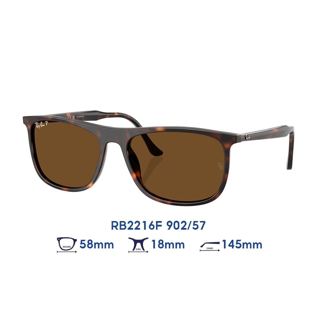 Kính mát RAYBAN RB2216F 902/57