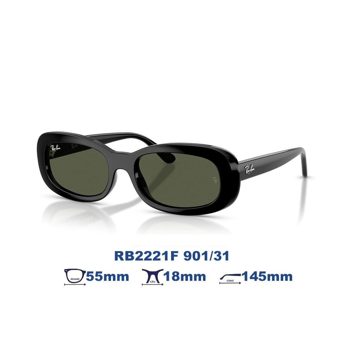  Kính mát RAYBAN RB2221F 901/31 