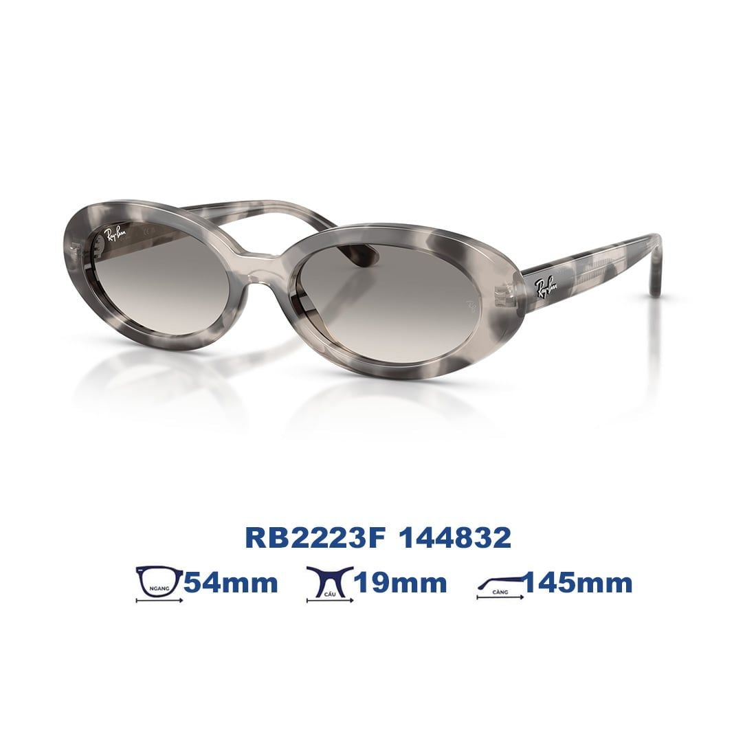 Kính mát RAYBAN RB2223F 144832
