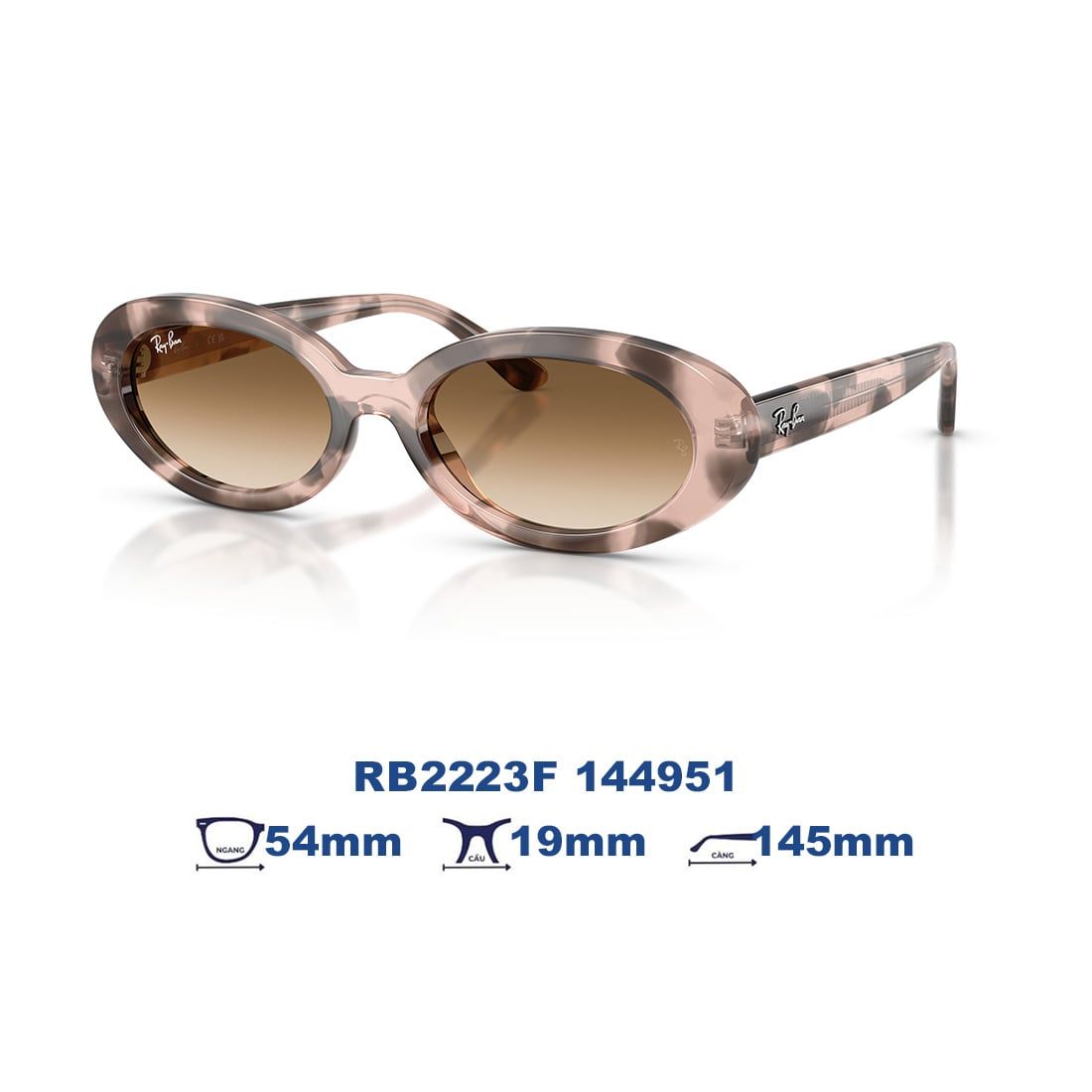 Kính mát RAYBAN RB2223F 144951