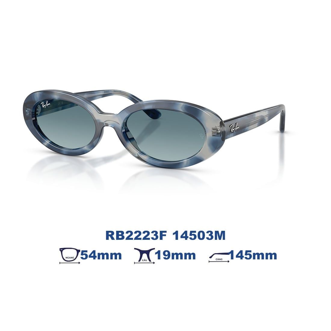 Kính mát RAYBAN RB2223F 14503M