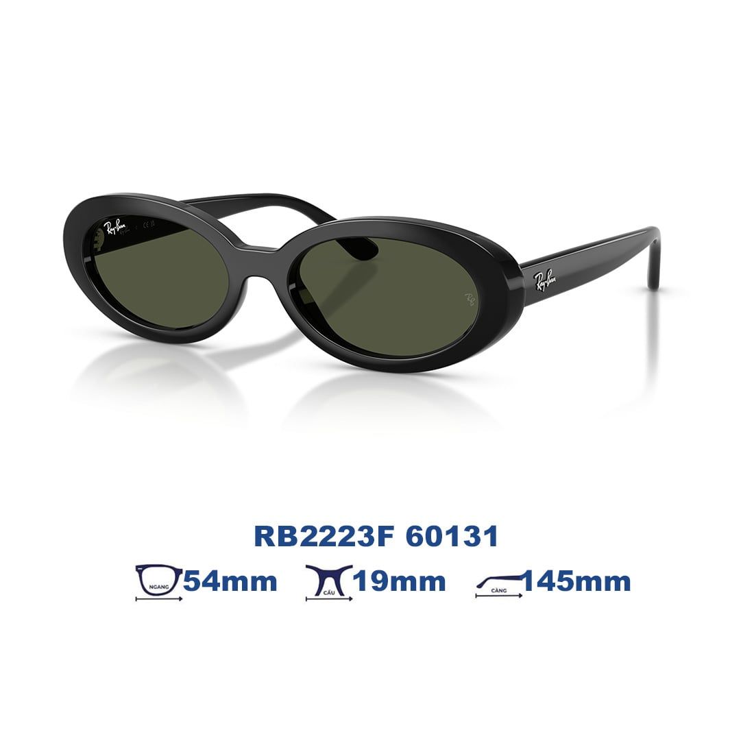 Kính mát RAYBAN RB2223F 601/31