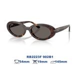 Kính mát RAYBAN RB2223F 902B1