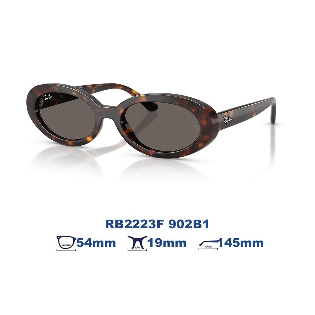 Kính mát RAYBAN RB2223F 902B1