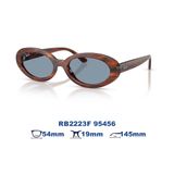 Kính mát RAYBAN RB2223F 95456