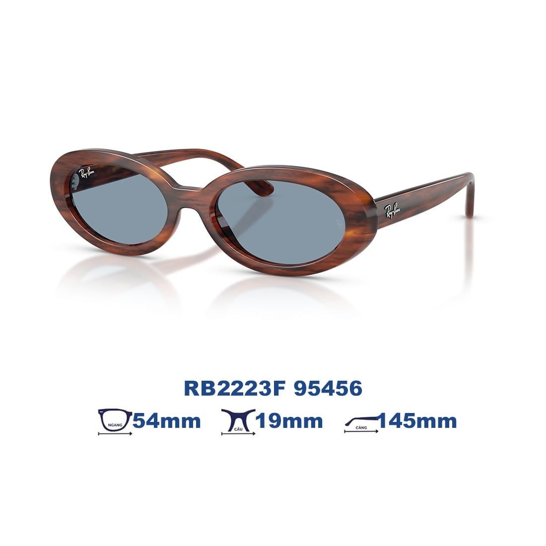 Kính mát RAYBAN RB2223F 95456