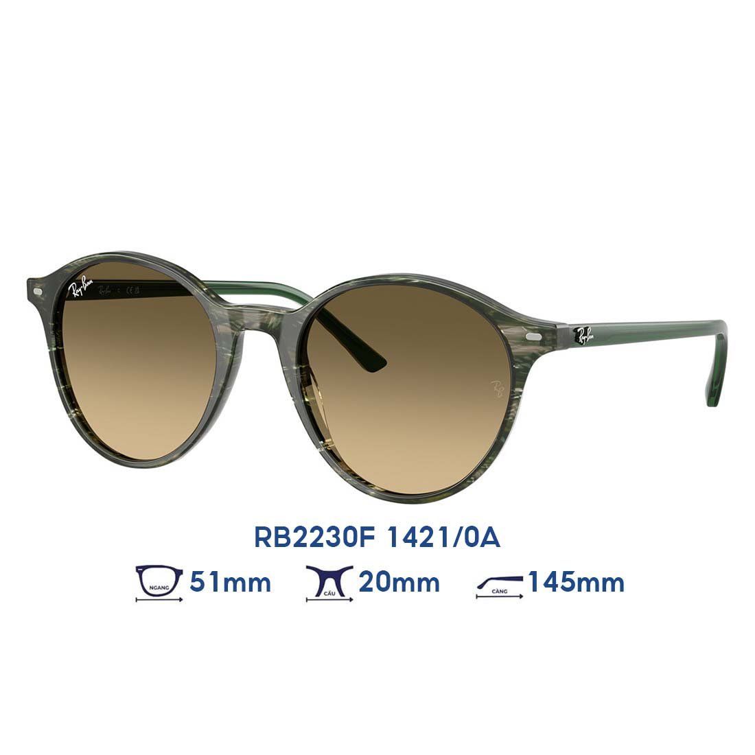  Kính mát RAYBAN RB2230F 1421/0A 