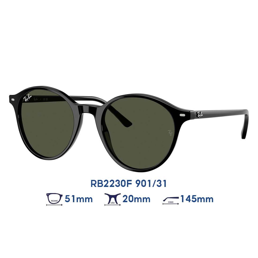  Kính mát RAYBAN RB2230F 901/31 