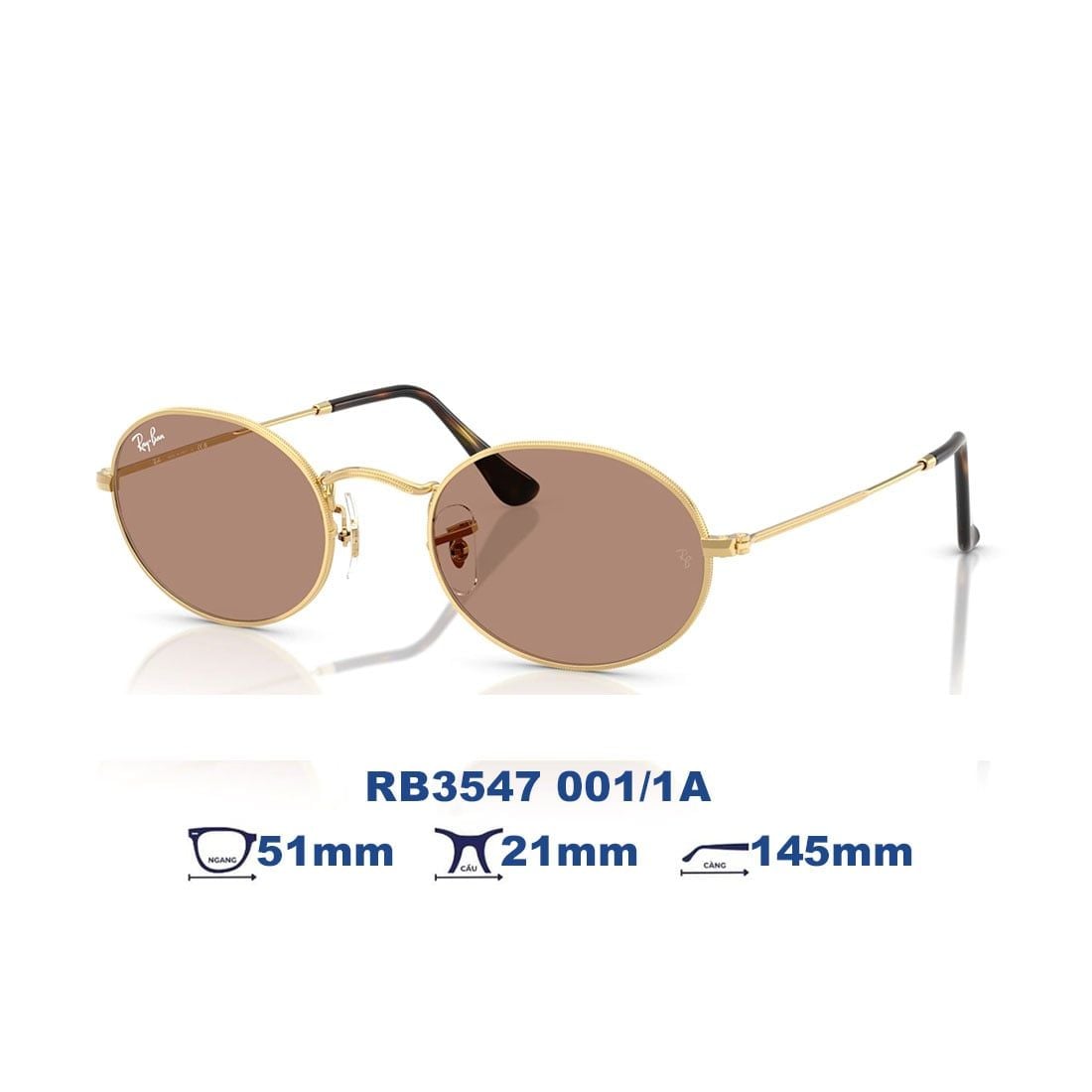  Kính mát RAYBAN RB3547 001/53 